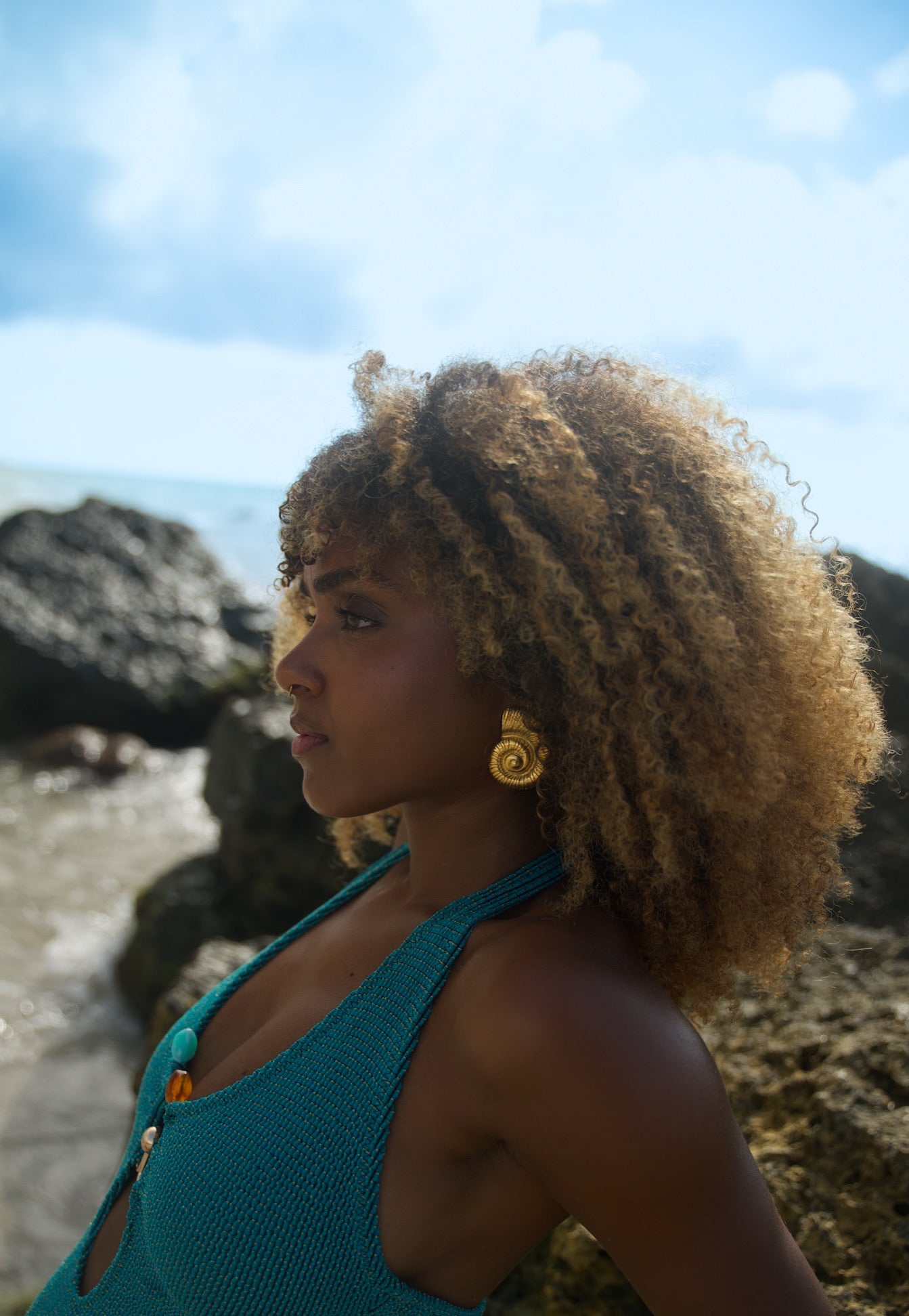 Nautilus Earrings