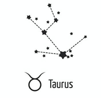 Zodiac x Constellation Necklace essence by Erika Suzie