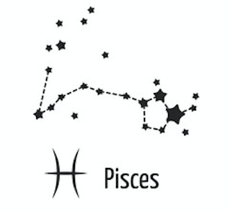 Zodiac x Constellation Necklace essence by Erika Suzie